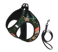 Conjunto de arnés y Correa para Perros con Estampado Vintage de Setas y Hojas, Chaleco Reflectante Ajustable para Perros pequeños, arnés de Malla Transpirable para Cachorros, Ideal para Paseos y Send