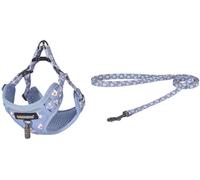 Conjunto de arnés y correa para perros de 15 m (azul claro) - DOGNESS