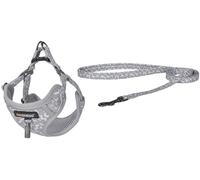 Conjunto de arnés y correa para perros de 15 m (gris claro) - DOGNESS