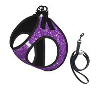 Conjunto de arnés y Correa para Perros pequeños, con Purpurina Morada, Estilo glamuroso y Femenino, Que Evita tirones. Incluye un Chaleco Reflectante Ajustable y un arnés de Malla Transpirable para c