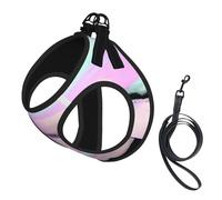 Conjunto de arnés y Correa para Perros pequeños, Estilo Tie-Dye Pastel, con diseño Femenino y Colorido. Incluye un Chaleco Reflectante Ajustable y un arnés de Malla Transpirable para Cachorros, Ideal