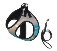 Conjunto de arnés y Correa para Perros Song of The White Swan sin tirones. Lindo Chaleco Reflectante Ajustable para Perros pequeños. Arnés de Malla Transpirable para Cachorros para Paseos y senderi