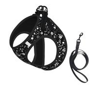 Conjunto de arnés y Correa para Perros Wild Flower Monochrome sin tirones, Chaleco Reflectante Ajustable para Perros pequeños, arnés de Malla Transpirable para Cachorros para Paseos y Senderismo, Tal