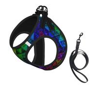 Conjunto de arnés y Correa Pride Glass para Perros, sin tirones, Reflectante, Ajustable, de Malla Suave y Acolchada, Chaleco para Mascotas con Hebilla de Seguridad para Perros y Gatos pequeños, Med