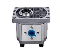 Conjunto de bomba de engranajes hidráulicos CBN/CBT-F/G/E 304 306 310 314 316 320 325 Pequeño cabezal de alta presión(Nf320(20mpa),Form)