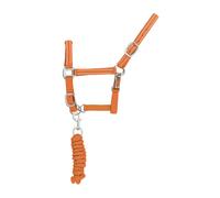 Conjunto de cabezada y correa para caballo de nylon reflectante Supreme Completo