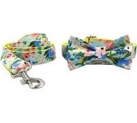Conjunto de Collar y Correa for Perro con Estampado Moda, Ajustable Pajarita Hebilla metálica liberación rápida, antitorsión(Blue Flowers,M)