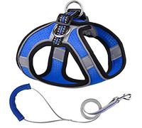 Conjunto de Correa, arnés Malla for Cachorros, Acolchada Suave for Perros pequeños, Gatos, Chaleco, Accesorios for DS(E,2XS)