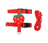 Conjunto de Correa de Perro - Arnés de Chaleco de Dibujos Animados, Correa de Mascotas fuertes, Lindos Conjuntos de Caminar para Cachorro | Engranajes de entrenamiento de Perros al aire libre, Plomo