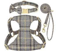Conjunto De Correa Y Arnés para Collar De Perro, Suave Y Cómodo, Lindo Lazo, Collar para Cachorro Y Gato, Chaleco, Conjunto De Correa Y Arnés para Perros Y Gatos Pequeños Y Medianos,Gris,S
