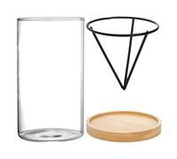 Conjunto De Cultivo De Pozo De Aguacate: Jarrón De Vidrio Con Soporte De Madera, Conjunto De Propagación De Arranque De Semillas | Elegante De Cultivo De Aguacates De 3 Piezas, Exhibición De J