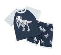 Conjunto de Dinosaurios para niños, Camiseta y Pantalones Cortos con Estampado Que Brilla en la Oscuridad, 2 Piezas, Ropa Informal de Verano para Jugar, para niños pequeños de 2 a 8 (Blue, 2-3 Years)