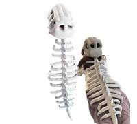 Conjunto de Disfraces Esqueletos De Dinosaurio Genérico - Traje De Para | Glow In Dark Skeleton Traje Con Máscara De Mono, Niños Niñas Halloween Fancy Disch Up
