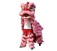 Conjunto de Disfraz de Cabeza de Danza Del León Tradicional Chino - Actuación de Danza Del Dragón Hecha a Mano y Decoración de Festivales(Pink,170cm/67in)