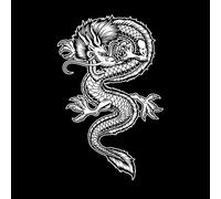 conjunto de dragones asiáticos Calcomanías de letras 36x56.2cm No daña la superficie de la pared Blanco