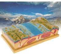Conjunto de exhibición de modelo de tectónica de placas 3D, modelo demostrador de enseñanza de geografía, material didáctico escolar de geología científica, modelo de topografía del fondo marino