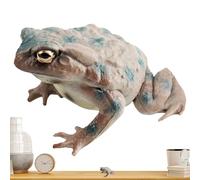 Conjunto de figuras de rana para niños: figura realista de sapo, modelos animales en miniatura | Kit de decoración de salón de clases de sala de estatua Pro Hot Hot, no tóxico, juguete de animal de pl