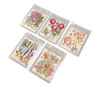 Conjunto de flores prensadas coloridas mezclado con múltiples usos para arte de uñas, fabricación de velas, 5 flores secas en prisa para diseño de joyería de bricolaje, 100 piezas secas de imitación