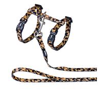 Conjunto De Gato Nobby Leopardo De Nylon Con Correa Ajustable