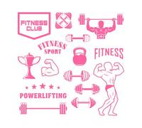 Conjunto de iconos de gimnasio, club deportivo y culturismo Calcomanías de grabado 42x43.3cm No daña la superficie de la pared Rosa