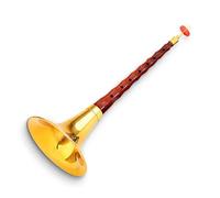Conjunto De Instrumentos Musicales Suona De Poste De Sándalo Para Principiantes Cuerno Suona Con Accesorios Suona Para Principiantes (Color : A)