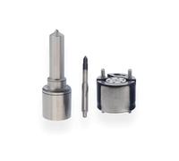 Conjunto de inyector Common Rail compatible con Great Wall At Harvard H5H6 Feng Jun 4d20 28231014 compatible con Delphi 1100100-ED01 EMBR00101D 28400214(BR00101D Repair Kit)