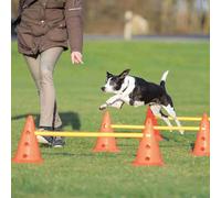 TRIXIE Set de Obstáculos para Perros