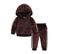 Conjunto de pantalones para niños pequeños, bebés, niñas y niños, sudadera con capucha de manga larga, jersey, pantalones de terciopelo, 2 uds., traje de primavera y otoño, 120, 3-4 años, marrón