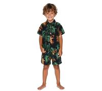 Conjunto de Playa Hawaiana de 2 Piezas para niños pequeños, Camisa de Manga Corta con Botones y Pantalones Cortos, Estampado Tropical, Ideal para Vacaciones.