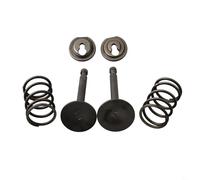 Conjunto de retenedor de válvula de repuesto para motores GX200 168F 170F 5.5 6.5, incluyendo válvulas de resorte y pinzas de válvula
