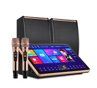 Conjunto de sistema de karaoke, máquina de karaoke con pantalla táctil capacitiva de 18,5 pulgadas, reproductor KTV de escritorio de karaoke con micrófono inalámbrico, función de amplificador(Black)