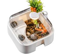 Conjunto De Terrario De para Reptiles - Acuario De Tortugas | Terrario Anti-Escape con Luz | Kit De Hábitat para Tortugas Pequeño Acuario | para El Ermitaño Tortuga Barbuda Dragón