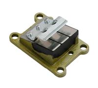 Conjunto de válvula láminas for 6E0-13610-00 4HP 5HP 6E0-13610