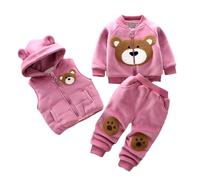 Conjunto Infantil de Invierno 3 Piezas Franela Sudadera Capucha Chaleco Cremallera Pantalones Cálidos Abrigo Niños (6-12 Months)