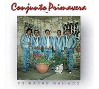 Conjunto Primavera - Demasiado Tarde
