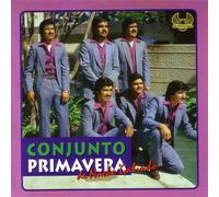 Conjunto Primavera - Vallesano
