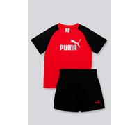 Conjunto Puma - Rojo - Conjunto Niño MKP talla 16