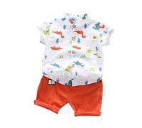 Conjunto Ropa Niño Niña Verano My First Cumpleaños Dibujos de Dinosaurio Sudaderas Coche Jeans Shorts Sudadera Pantalones Primavera, otoño