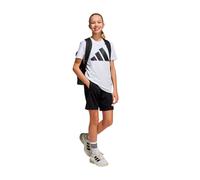 Conjunto - Short & Shirt Casual Adidas J Bl T-Set - 140