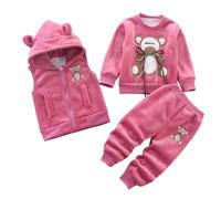 Conjunto Térmico Infantil con Chaleco Capucha Suéter Manga Larga Pantalones Abrigo Invierno Bebé Niños Pequeños Juego Ropa Cómoda (18-24 Months)
