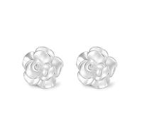 Conjuntos de estampación Pack Joyas Earrings Women's Rose Ear Bone Nails Girly Feeling Kits Limpiador compatible con Máquina Joyería, talla única, Plástico, Sin piedra preciosa