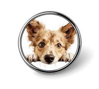 Conjuntos de pines esmaltados con forma de perro Appenzeller Sennenhund, broches con temática de cachorros, botones de regalo para dueños de perros, insignias de regalo para mamás de perros, prendedor