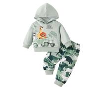 Conjuntos de Ropa de bebé de Dos Piezas con Capucha y Pantalones con Estampado Animal para niño, Primavera y otoño.#272