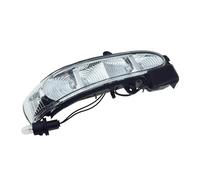 Conjuntos de señales de giro para automóviles Para Mercedes Para Benz G E Class W211 S211 W463 W461 2002-2007 Espejo Retrovisor Derecho Luz LED A2038201421