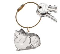 conmemorativa de pelo de mascotas, transparente de almacenamiento de pelo de gato, suministros para mascotas, para mantener el entierro, viajes, coche, hogar, al aire libre, condolencias