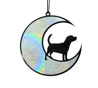 conmemorativo para perros, prisma acrílico de 12 cm, decoración artística para el hogar, pequeño, portátil, resistente a la decoloración, regalo colgante para perros y amantes de la