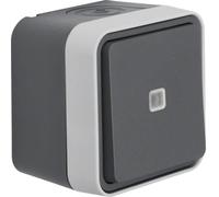 Conmutador con indicador luminoso, gris