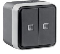 Conmutador doble con indicador luminoso, superfície, gris