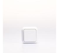 Conmutador interruptor de superficie | galas | Interruptor de luz, interruptor basculante, interruptor de apagado AP 250V/10A, interruptor basculante de superficie para uso en interiores, blanco