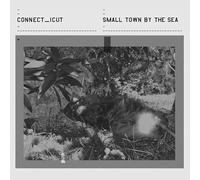 Connect_Icut - Small Town By The Sea